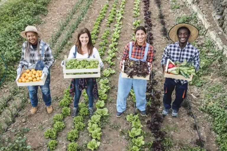Rooted and Rising: How Men's Grassroots Networks Are Rebuilding Economic Life in Small-Town America